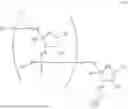 Fig. 45 - Polymeric solid support for oligonucleotide synthesis