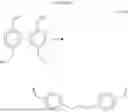Fig. 69 - Polymeric solid support for oligonucleotide synthesis