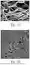Fig. 02 - LOW-WATER COMPOSITIONS