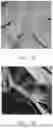 Fig. 09 - LOW-WATER COMPOSITIONS