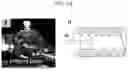 Fig. 08 - IMAGING-ENABLED BIOREACTOR FOR IN VITRO CULTIVATION AND BIOENGINEERING OF ISOLATED AIRWAY TISSUE