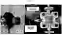 Fig. 09 - IMAGING-ENABLED BIOREACTOR FOR IN VITRO CULTIVATION AND BIOENGINEERING OF ISOLATED AIRWAY TISSUE