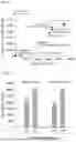 Fig. 06 - METHOD FOR PRODUCING COLANIC ACID USING RECOMBINANT ESCHERICHIA COLI