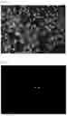 Fig. 03 - CELL CULTURE MEMBER AND METHOD FOR MODIFYING SURFACE THEREOF