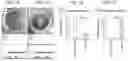 Fig. 02 - CHONDROGENIC HUMAN MESENCHYMAL STEM CELL (MSC) SHEETS