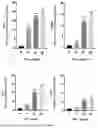 Fig. 02 - STEM CELL PRIMING COMPOSITION AND PRIMED STEM CELL
