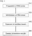Fig. 02 - RNA PROBE FOR MUTATION PROFILING AND USE THEREOF