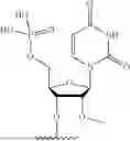 Fig. 44 - OLIGONUCLEOTIDES FOR PMS1 MODULATION