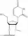 Fig. 45 - OLIGONUCLEOTIDES FOR PMS1 MODULATION