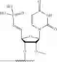 Fig. 46 - OLIGONUCLEOTIDES FOR PMS1 MODULATION