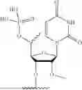 Fig. 49 - OLIGONUCLEOTIDES FOR PMS1 MODULATION