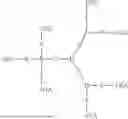 Fig. 63 - OLIGONUCLEOTIDES FOR PMS1 MODULATION