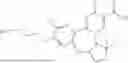 Fig. 216 - TARGETED CONJUGATES COMPRISING MODIFIED SIRNA