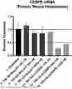 Fig. 01 - APTAMER-siRNA FUSIONS