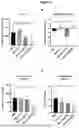 Fig. 08 - APTAMER-siRNA FUSIONS