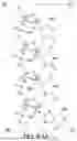Fig. 22 - APTAMER-siRNA FUSIONS