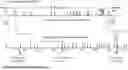 Fig. 01 - METHODS AND COMPOSITIONS FOR THE TARGETED MODIFICATION OF A GENOME