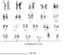 Fig. 07 - METHODS AND COMPOSITIONS FOR THE TARGETED MODIFICATION OF A GENOME