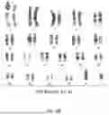 Fig. 09 - METHODS AND COMPOSITIONS FOR THE TARGETED MODIFICATION OF A GENOME