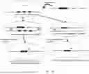 Fig. 22 - METHODS AND COMPOSITIONS FOR THE TARGETED MODIFICATION OF A GENOME