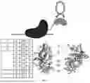 Fig. 02 - PROGRAMMABLE TRANSPOSASES AND USES THEREOF