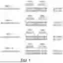 Fig. 02 - ENGINEERED MEGANUCLEASES WITH RECOGNITION SEQUENCES FOUND IN THE HUMAN BETA-2 MICROGLOBULIN GENE