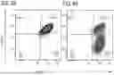 Fig. 22 - ENGINEERED MEGANUCLEASES WITH RECOGNITION SEQUENCES FOUND IN THE HUMAN BETA-2 MICROGLOBULIN GENE