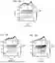 Fig. 33 - ENGINEERED MEGANUCLEASES WITH RECOGNITION SEQUENCES FOUND IN THE HUMAN BETA-2 MICROGLOBULIN GENE