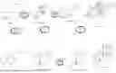 Fig. 02 - PRODUCTION OF DITERPENE ALKALOIDS