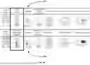 Fig. 05 - SYSTEMS AND METHODS FOR IMMUNOFLUORESCENCE QUANTIFICATION