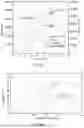 Fig. 09 - Methods and systems for analysis of samples containing particles used for gene delivery