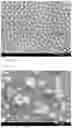 Fig. 03 - PLATED STEEL SHEET HAVING EXCELLENT SEALER ADHESION AND METHOD FOR MANUFACTURING SAME