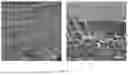Fig. 04 - COMPOSITE MATERIAL FOR IMPROVING METAL CONDUCTIVITY AND METHOD OF PREPARING THE SAME