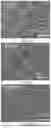Fig. 04 - Electrospun radiative cooling textile