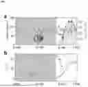 Fig. 07 - RECYCLABLE, SELF-CLEANING CELLULOSE-FIBER COMPOSITES