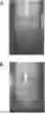 Fig. 01 - STABLE CATIONIC POLYACRYLAMIDE DISPERSIONS AND USE THEREOF IN PAPERMAKING