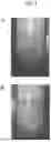 Fig. 02 - STABLE CATIONIC POLYACRYLAMIDE DISPERSIONS AND USE THEREOF IN PAPERMAKING