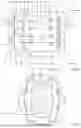Fig. 02 - Rotary positive displacement pump