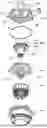 Fig. 01 - Water pump