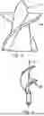 Fig. 04 - Compressible rotor for a fluid pump