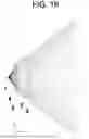 Fig. 16 - Vehicle light fixture