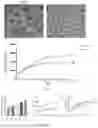 Fig. 02 - NEURAL STEM CELL-INDUCED DIFFERENTIAL MEDIUM AND INDUCTION DIFFERENTIATION METHOD