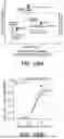 Fig. 40 - MODULAR KINETICALLY-CONTROLLED FUNCTIONAL RNA CONSTRUCTS AND RELATED COMPOSITIONS, SYSTEMS, AND METHODS