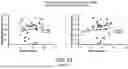 Fig. 44 - MODULAR KINETICALLY-CONTROLLED FUNCTIONAL RNA CONSTRUCTS AND RELATED COMPOSITIONS, SYSTEMS, AND METHODS