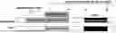 Fig. 01 - POLYPEPTIDES BINDING SELECTIVELY HEPARIN OR HEPARAN SULFATE GLYCOSAMINOGLYCANS AND CELL-PENETRATING POLYPEPTIDES COMPRISING THE SAME