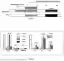 Fig. 02 - POLYPEPTIDES BINDING SELECTIVELY HEPARIN OR HEPARAN SULFATE GLYCOSAMINOGLYCANS AND CELL-PENETRATING POLYPEPTIDES COMPRISING THE SAME