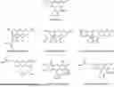 Fig. 01 - METHODS FOR LABELING URINE IN A SUBJECT WITH FLUOROPHORES