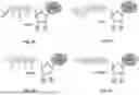 Fig. 09 - HIGH THROUGHPUT PEPTIDE IDENTIFICATION USING CONJUGATED BINDERS AND KINETIC ENCODING