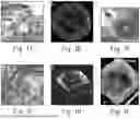 Fig. 02 - FUNCTIONAL POROSOME MANIPULATION