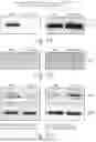 Fig. 09 - FUNCTIONAL POROSOME MANIPULATION